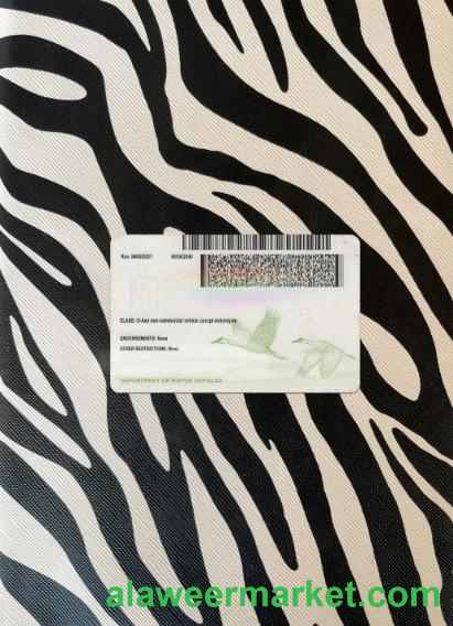 USA Nebraska new driving license photolook back